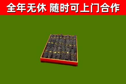 陵水烟酒回收海参.jpg